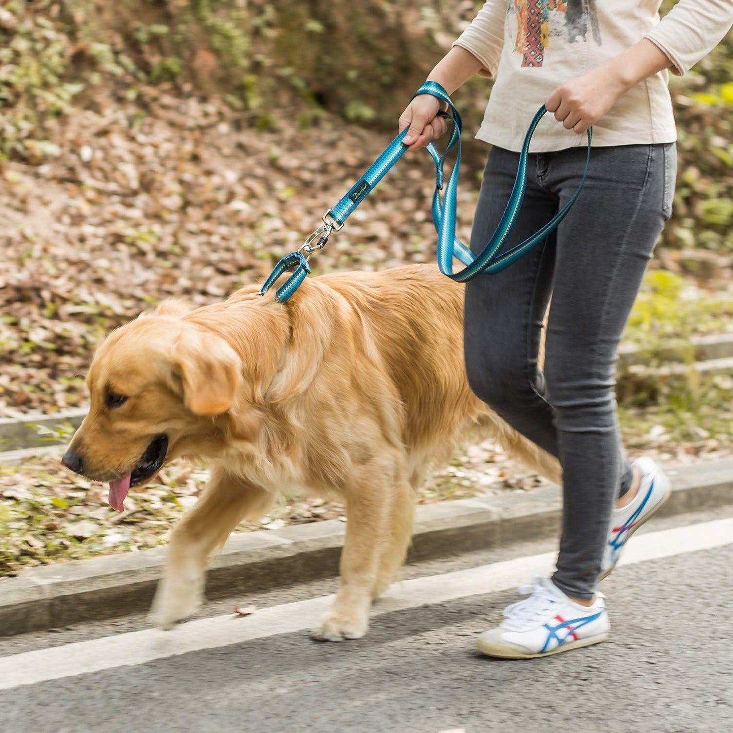 Martingale Collar Nylon Dog Collar - No Pull Pet Collar Heavy Duty for Medium and Large Dogs, Adjustable 17 Inch to 25 Inch, Turquoise Green