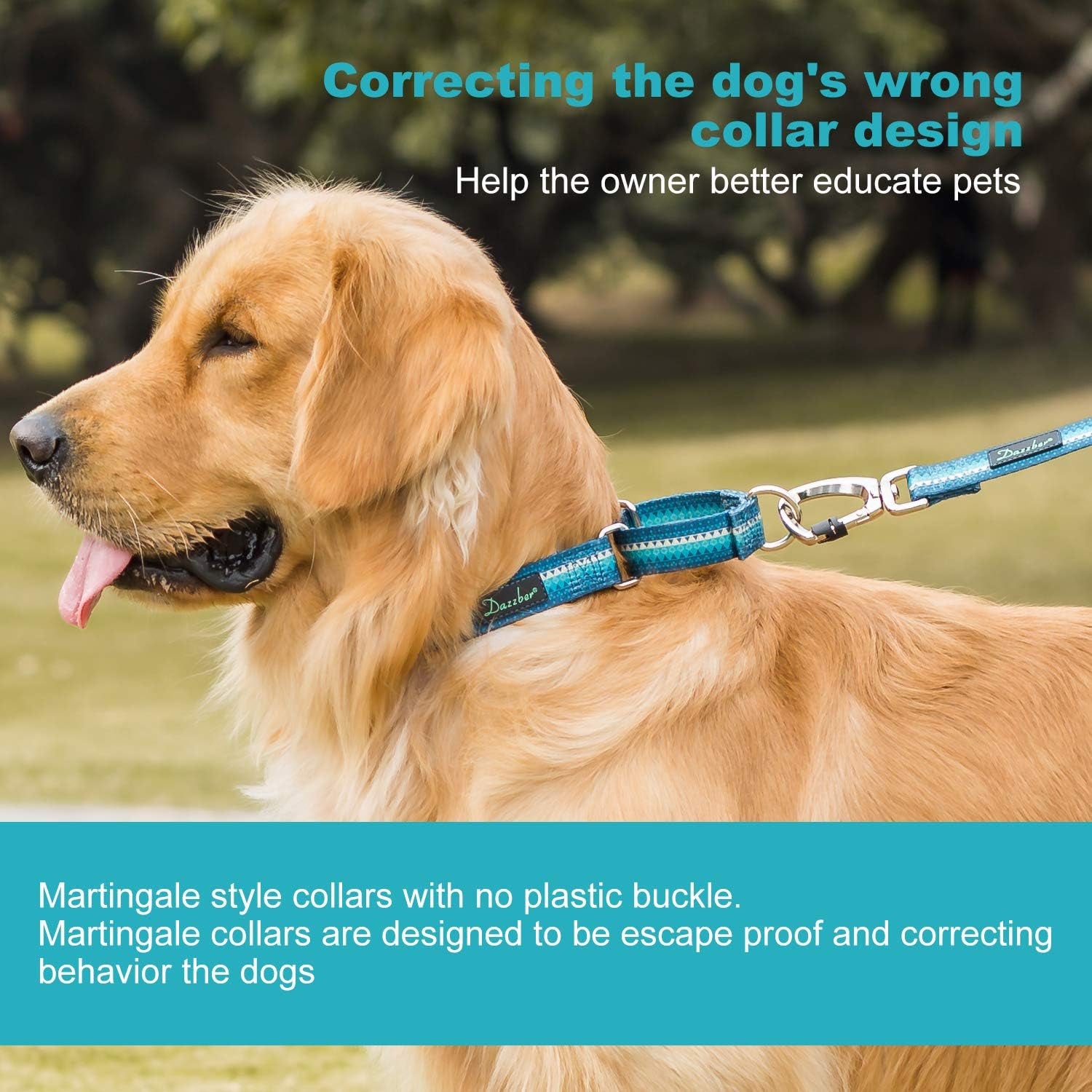 Martingale Collar Nylon Dog Collar -  No Pull Pet Collar Heavy Duty for Medium and Large Dogs, Adjustable 17 Inch to 25 Inch, Turquoise Green