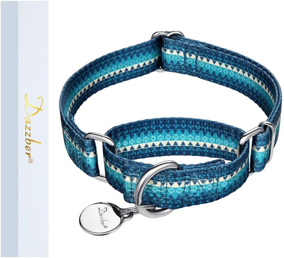 Martingale Collar Nylon Dog Collar -  No Pull Pet Collar Heavy Duty for Medium and Large Dogs, Adjustable 17 Inch to 25 Inch, Turquoise Green