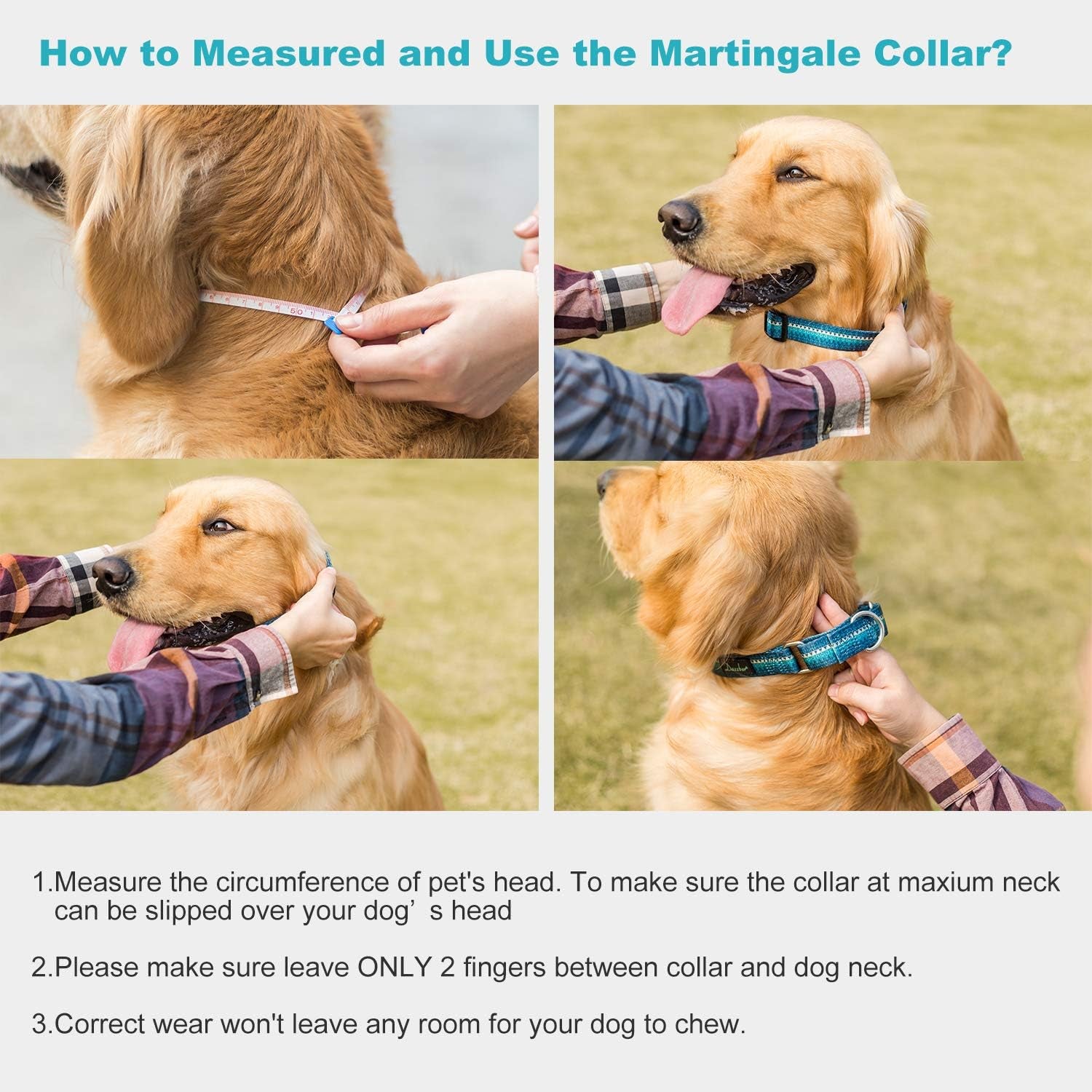 Martingale Collar Nylon Dog Collar -  No Pull Pet Collar Heavy Duty for Medium and Large Dogs, Adjustable 17 Inch to 25 Inch, Turquoise Green